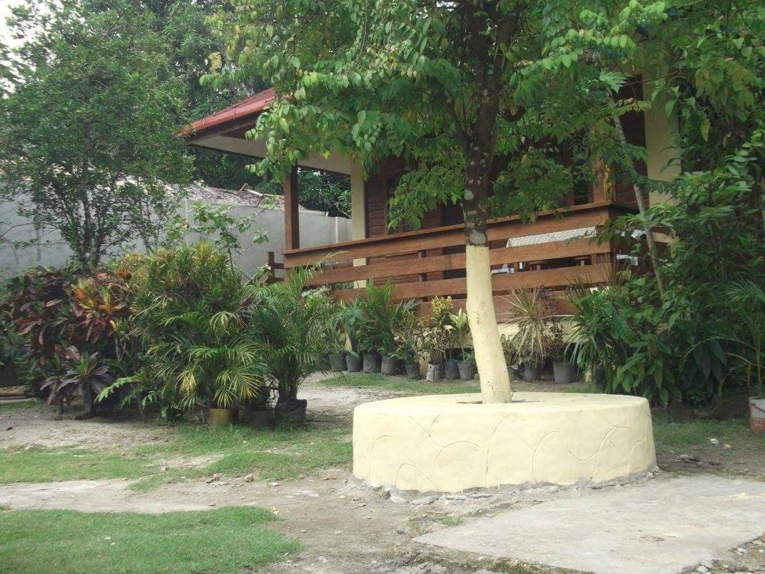 Nellie'S Tourist Inn- Port Barton 圣维森特 外观 照片